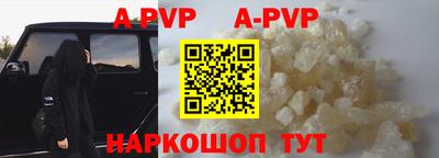 a pvp Кингисепп