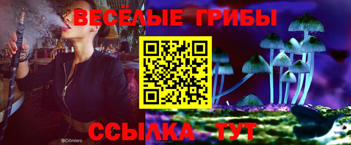 Псилоцибиновые грибы Psilocybe Южноуральск